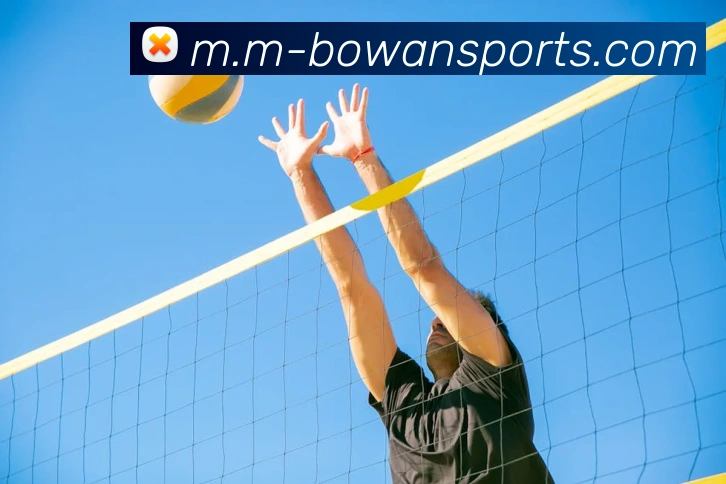 App Interface Preview